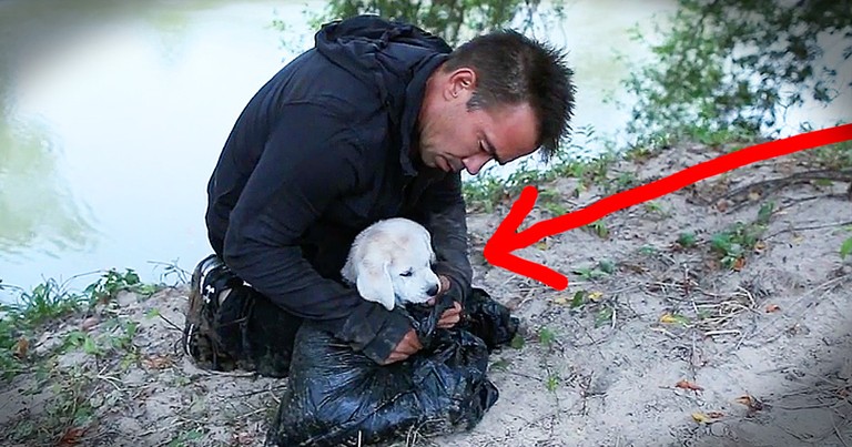 Rescue Dog's Thankful Thoughts Will Move You To Tears