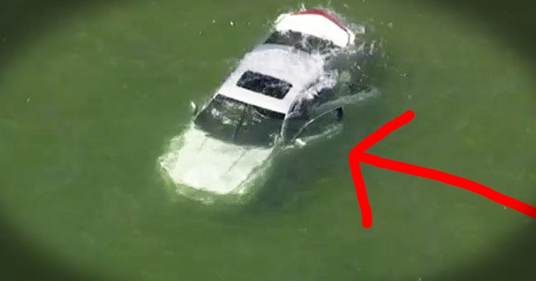 Good Samaritan Jumps Into Lake Risking His Own Life To Save A Stranger