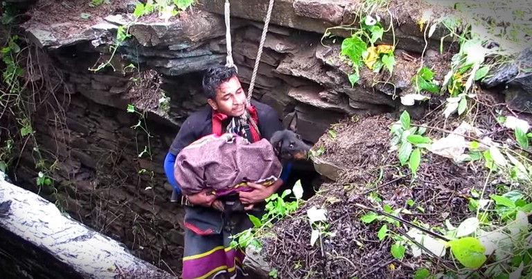 Dog Cries With Joy While Being Rescued From A Deep Well