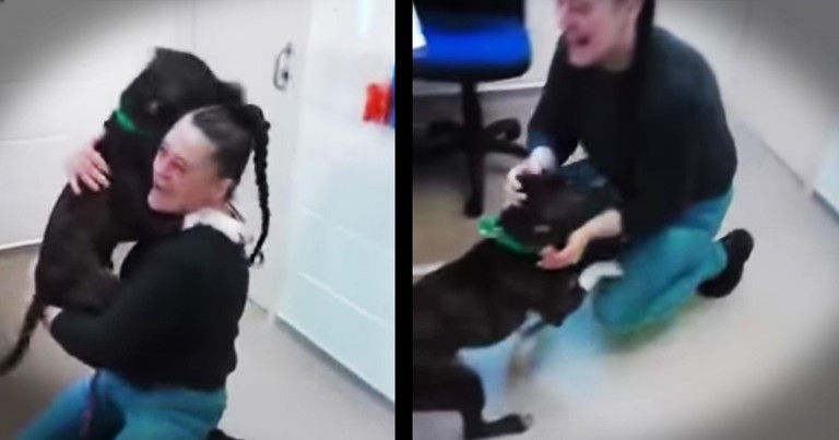 Dog Reunited With His Human Momma After 2 Months Is So Excited I Can't Handle It