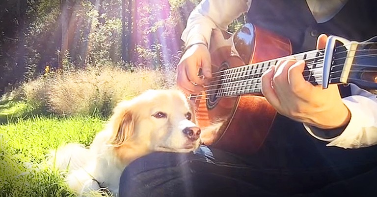 Man And Dog Play Touching Acoustic Guitar Rendition Of Gene Wilder's 'Pure Imagination'