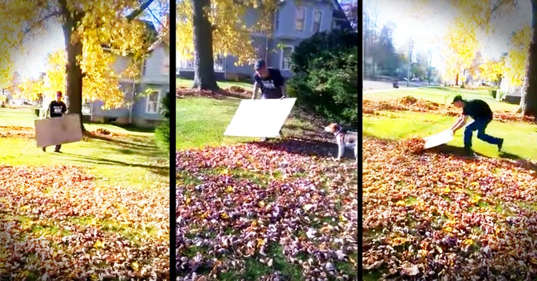 This Guy's Leaf Raking Hack Is Going To Save Fall 