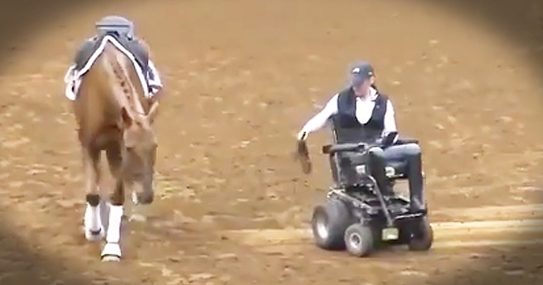 Paralyzed Woman And Horse Share An Unbreakable Bond