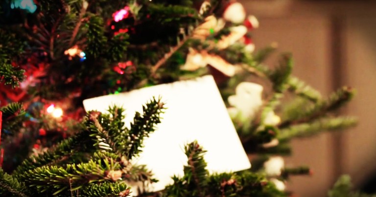 White Envelope On A Tree Changes The Heart Of A Man Who Hated Christmas