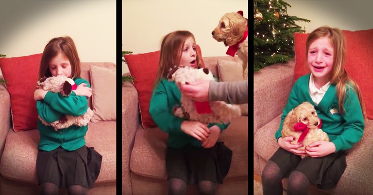 Parents Trade Their Daughter's Favorite Teddy For A Real Dog