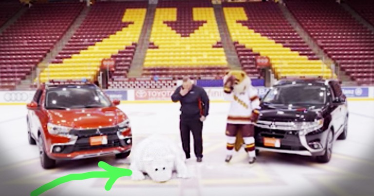 Bear Mascot Hilariously Can't Stop Falling On Ice 