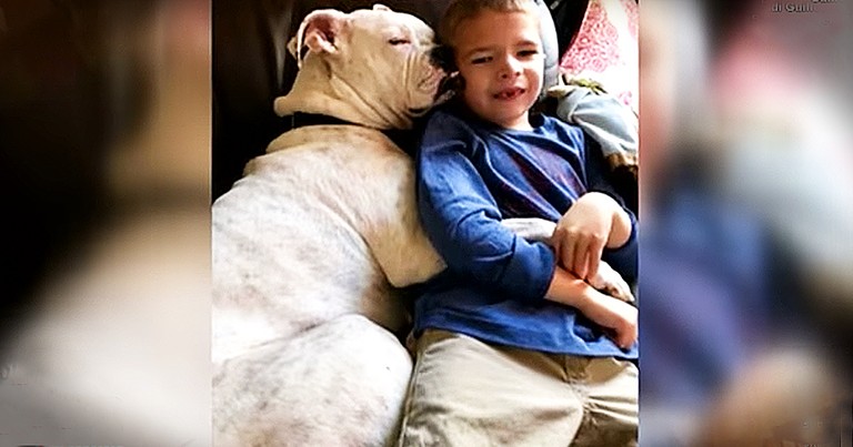 Deaf Boxer Understands Sign Language And Befriends Nonverbal 6-Year-Old