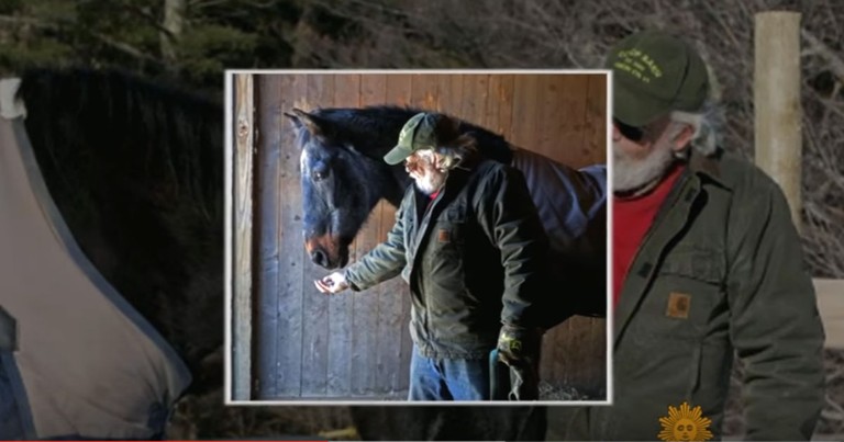 Grumpy' Older Man And His Old Horse Have A Friendship You Gotta See