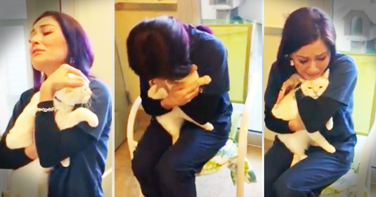 Woman Searches For 2 Years To Find Her Lost Cat And Gets This Incredible Reunion