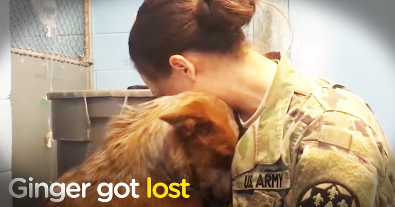 Dog Who Got Lost Reunites With Her Momma With The Sweetest Snuggles