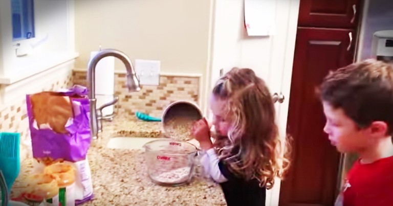 Precious Little Girl May Be Confused About Baking But She Is Giving It Her All