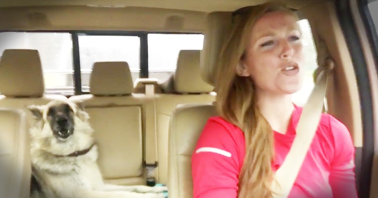 Dog Hilariously Takes Over Car Lip-Sync