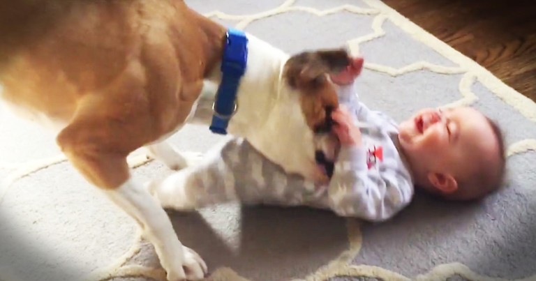 Baby Won't Stop Crying Until This Pup Jumps In To Help
