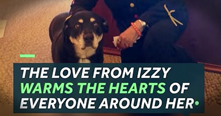 Elderly Dog Finds His New Home And Cheers Up Nursing Home After His Owner Passes