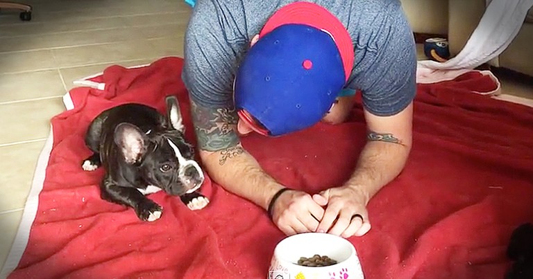French Bulldog And Owner Adorably Pray Together Before Meals