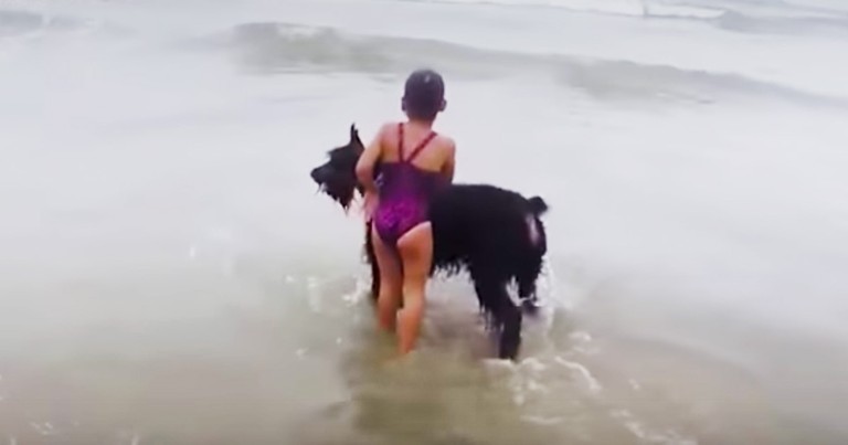 Protective Pup Makes Sure Her Human Baby Is Safe From The Waves