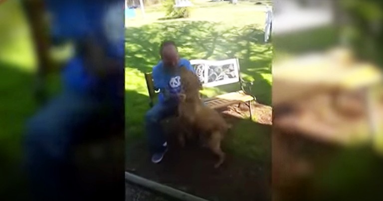 Dog Recognizes Owner After Weight Loss During Hospital Stay