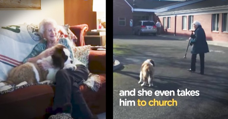 92-year-old Widow Gets Puppy Best Friend
