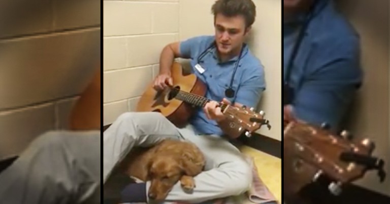 Vet Plays Sweet Song For Pup About To Go Into Surgery