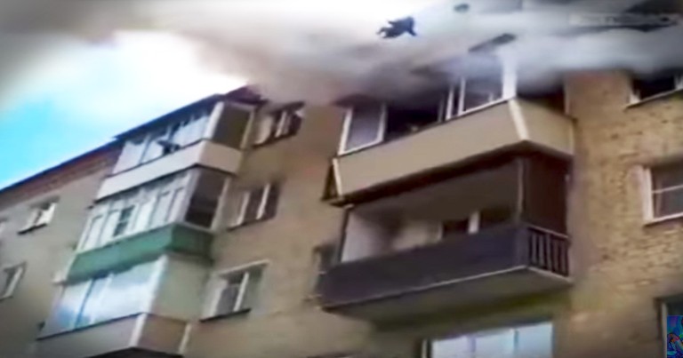 Strangers Save A Family Leaping From A Burning Building