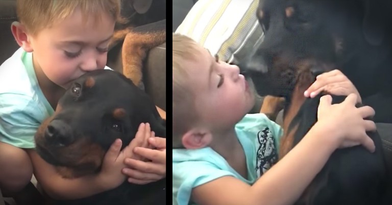 Boy Rewards Well-behaved Dogs With Kisses