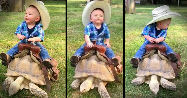 Adorable Little Cowboy Rides Turtle Instead Of Horse
