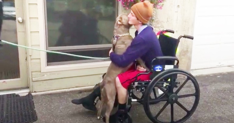 Man's Heartfelt Reunion With Lost Pit Bull After Accident