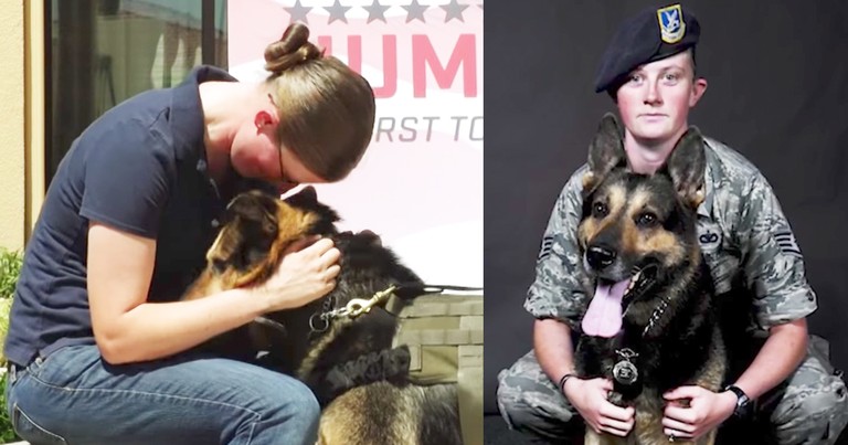 Retired Military Dog Embraces Handler During Heartfelt Reunion