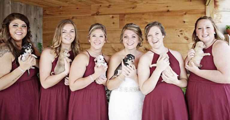 Bridesmaids Carry Puppies Instead Of Bouquets For The Sweetest Reason