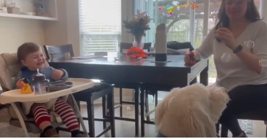 Dog's Antics With Bubbles Have Baby Laughing Uncontrollably