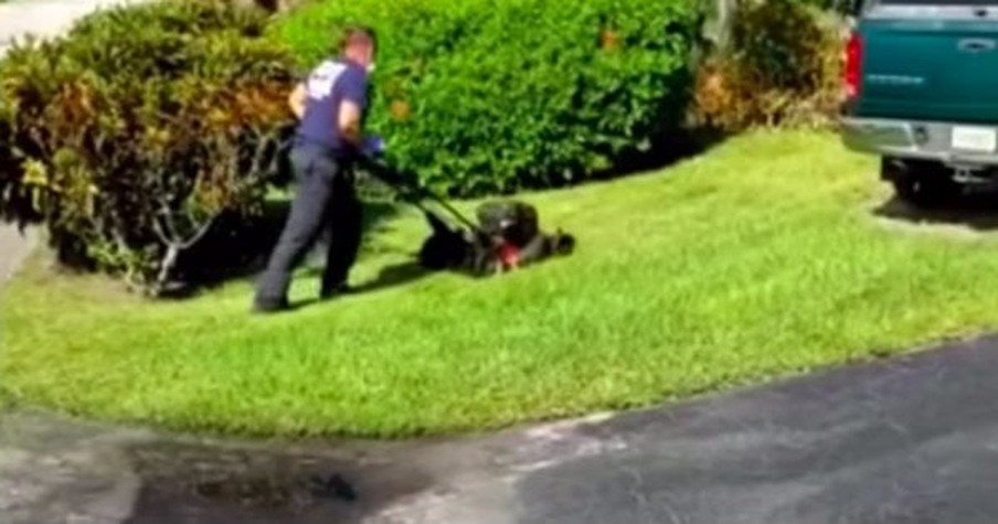 Fort Lauderdale Firefighters Show Up To Save 83-Year-Old Veteran But Stay To Mow His Lawn