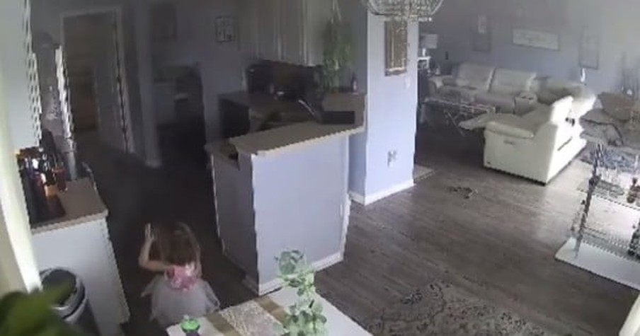 Quick-Thinking 4-Year-Old Sees Air Fryer Catch On Fire And Knows Just What To Do