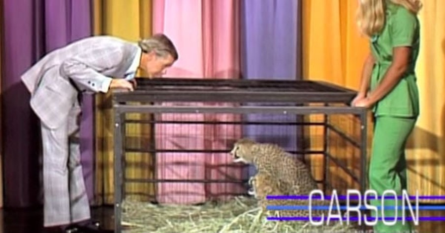 Johnny Carson Faces Off With A Cheetah And Winds Up In The Arms Of Ed McMahon