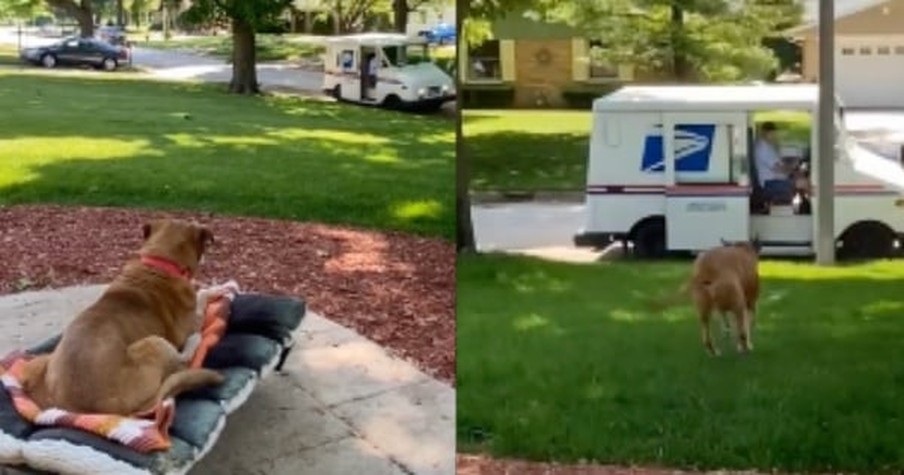 The Friendship Between This Mailman And Dog Has Spanned 16 Years And It's So Heartwarming