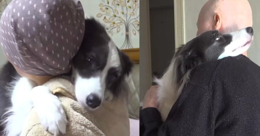 Woman Comes Home From The Hospital After Months Away And Her Dog Is Overcome With Joy