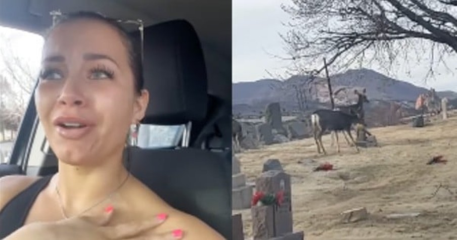 Woman Visits Boyfriend's Grave And Gets Emotional When She Spots Deer In Cemetery