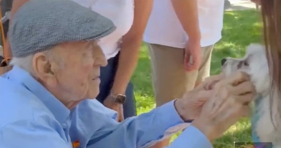 Man's Family Celebrates His Big Day With 100th Birthday Dog Parade And He Loves Every Second