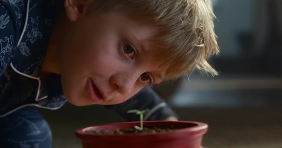 Little Boy Sets out to Grow ‘The Perfect Tree’ in Entertaining Christmas Commercial with a Twist