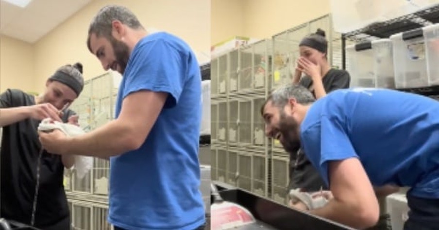 Parrot At The Vet Won't Stop 'Laughing' And He Has Everyone Else Cracking Up Too