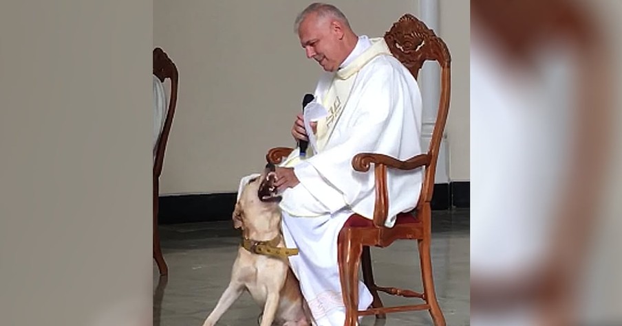 Friendly Dog Joins Priest On Stage During Church Service