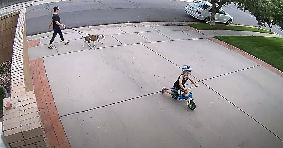 Security Cameras Catch Boy Riding Bike Through Driveway Every Day So Man Takes Action