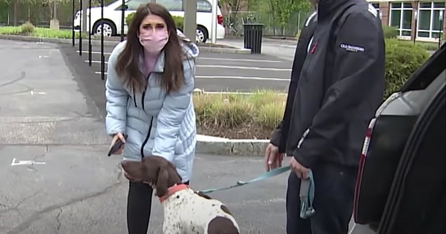 News Anchor Covering Story About A Stolen Dog Catches The Culprit While On-Air