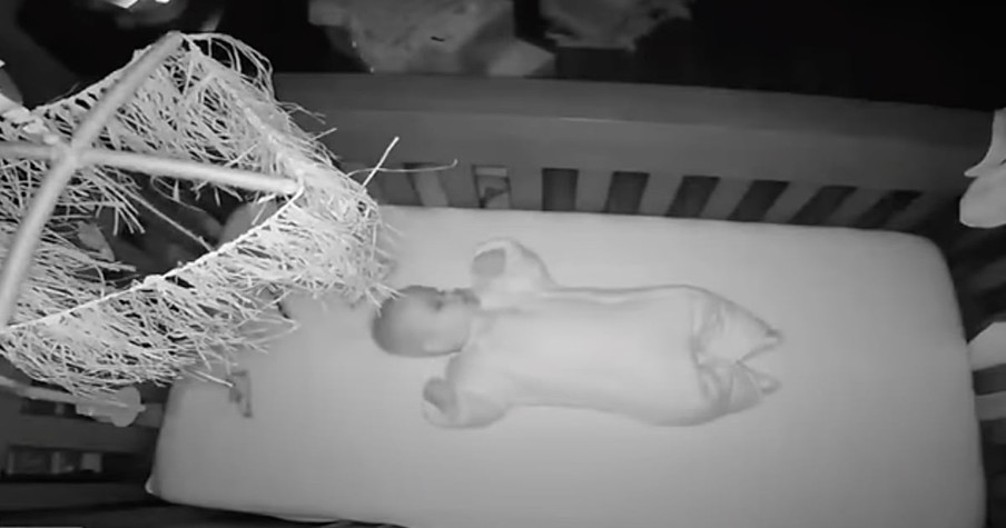 Cameras Rolled As Giant Tree Crashes Into Nursery Where Baby Boy Was Sleeping