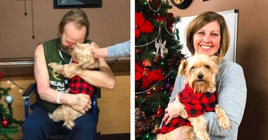 He Was Forced To Give Up His Beloved Dog When He Was Hospitalized So Nurse Steps In