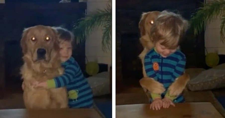 Little Boy Hugs His Furry Best Friend And The Sweet Dog Returns The Favor