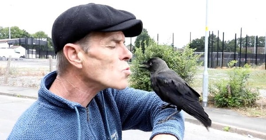 Man Finds A Wild Bird Injured On The Side Of The Road And Now They Share An Unbelievable Bond