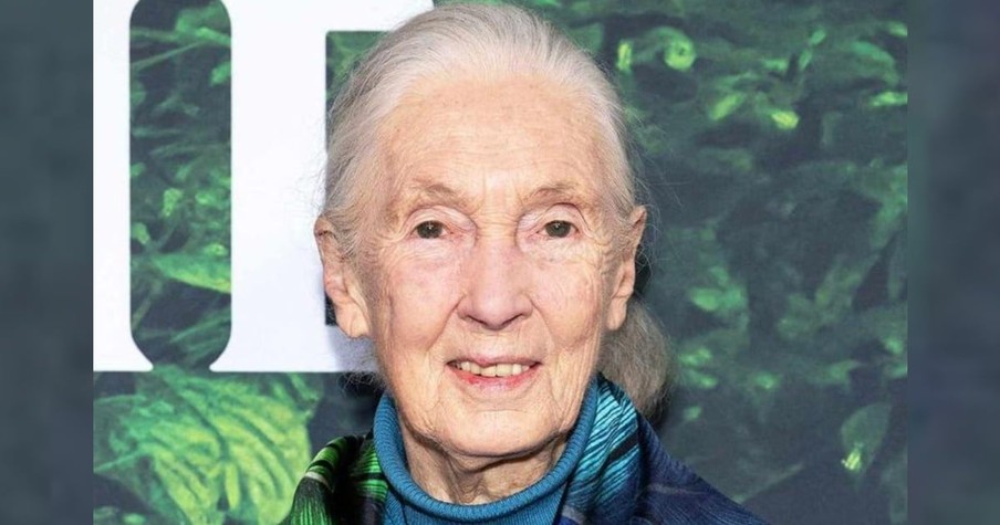 90-Year-Old Dr. Jane Goodall Spends 300 Days a Year Traveling to Share Inspiration