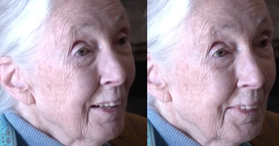 Jane Goodall, Age 90, Is Excited to Find Out What Comes After Her Next Big Adventure of 'Dying'