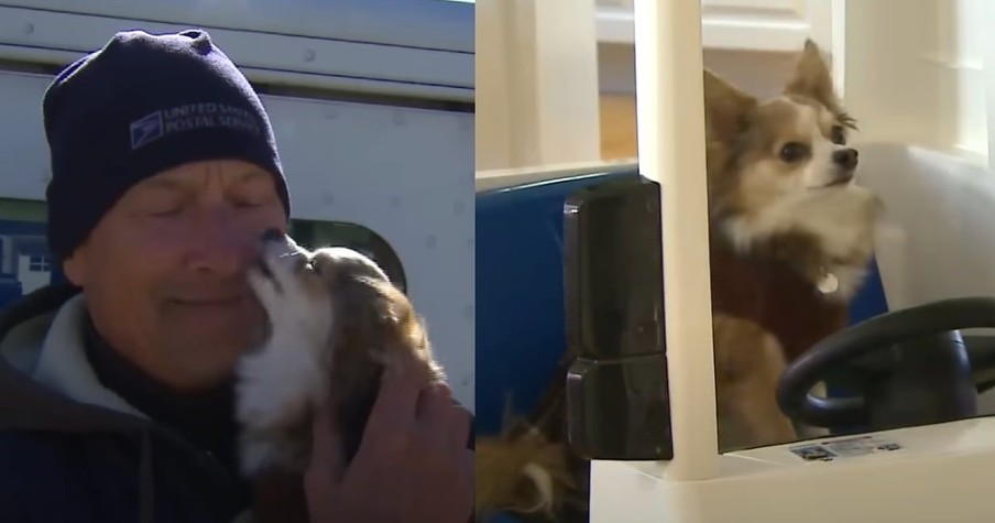 Dog Absolutely Loves the Postman and Their Unlikely Friendship Took the Internet by Storm