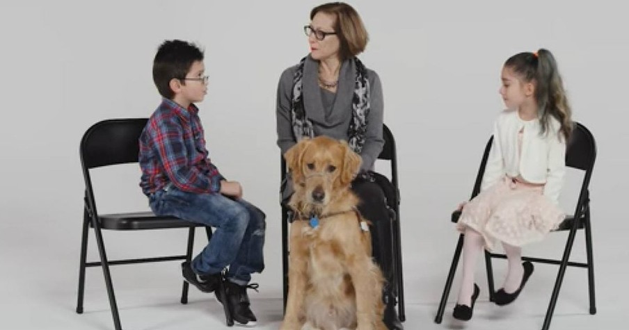 6 Children Meet A Real Life Guide Dog And They Are So Fascinated